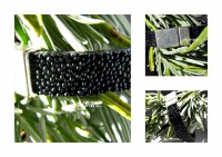 Pulseira Caviar - Preto